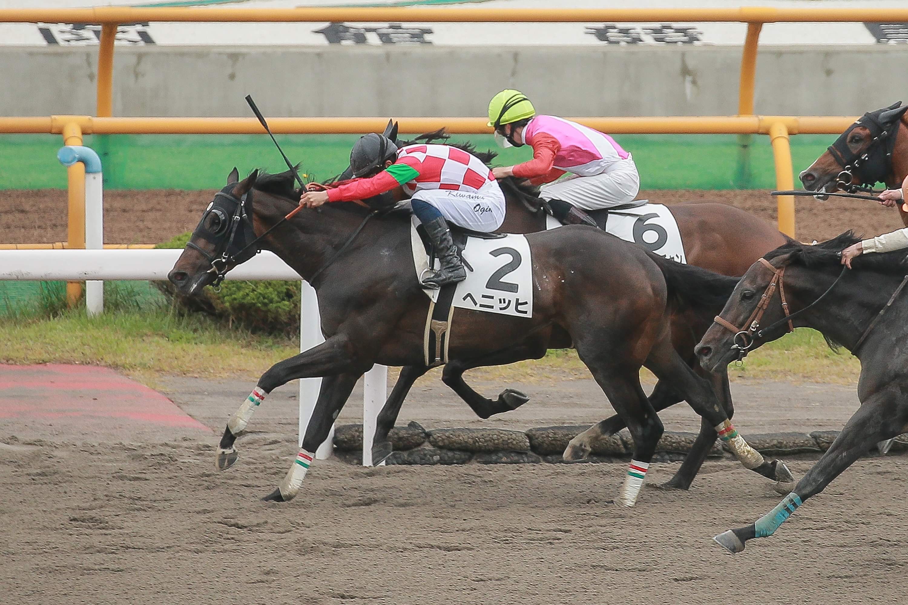 【当選品】函館競馬場　函館2歳S　レプリカゼッケン　ラインパシオン　大江原比呂 しゅんちゃん on X: 