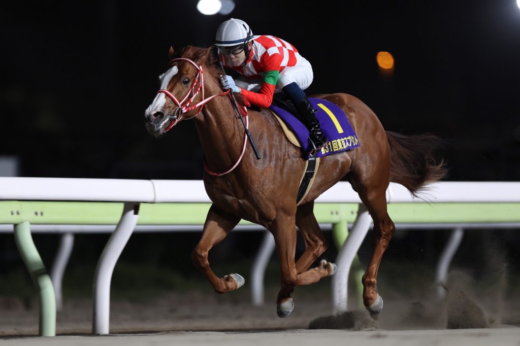 育成馬 東京スプリント（JpnⅢ）優勝 | 北海道 育成牧場 株式会社エク 