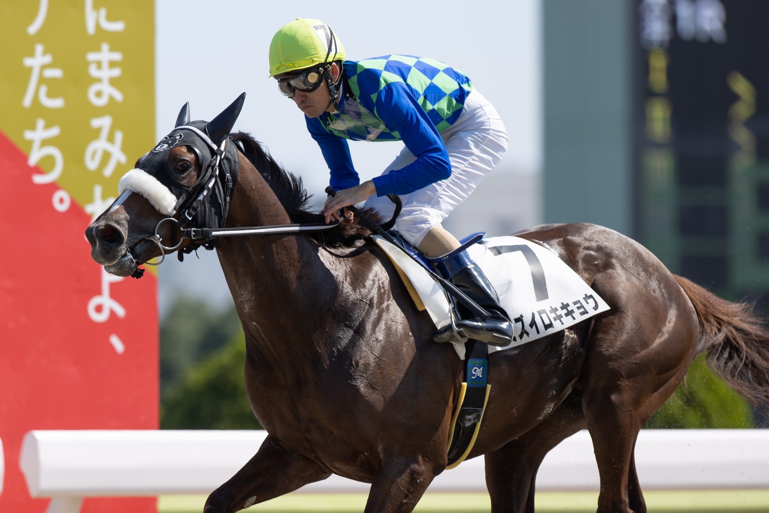 アロハウエスト（Aloha West） | 競馬データベース | JRA-VAN