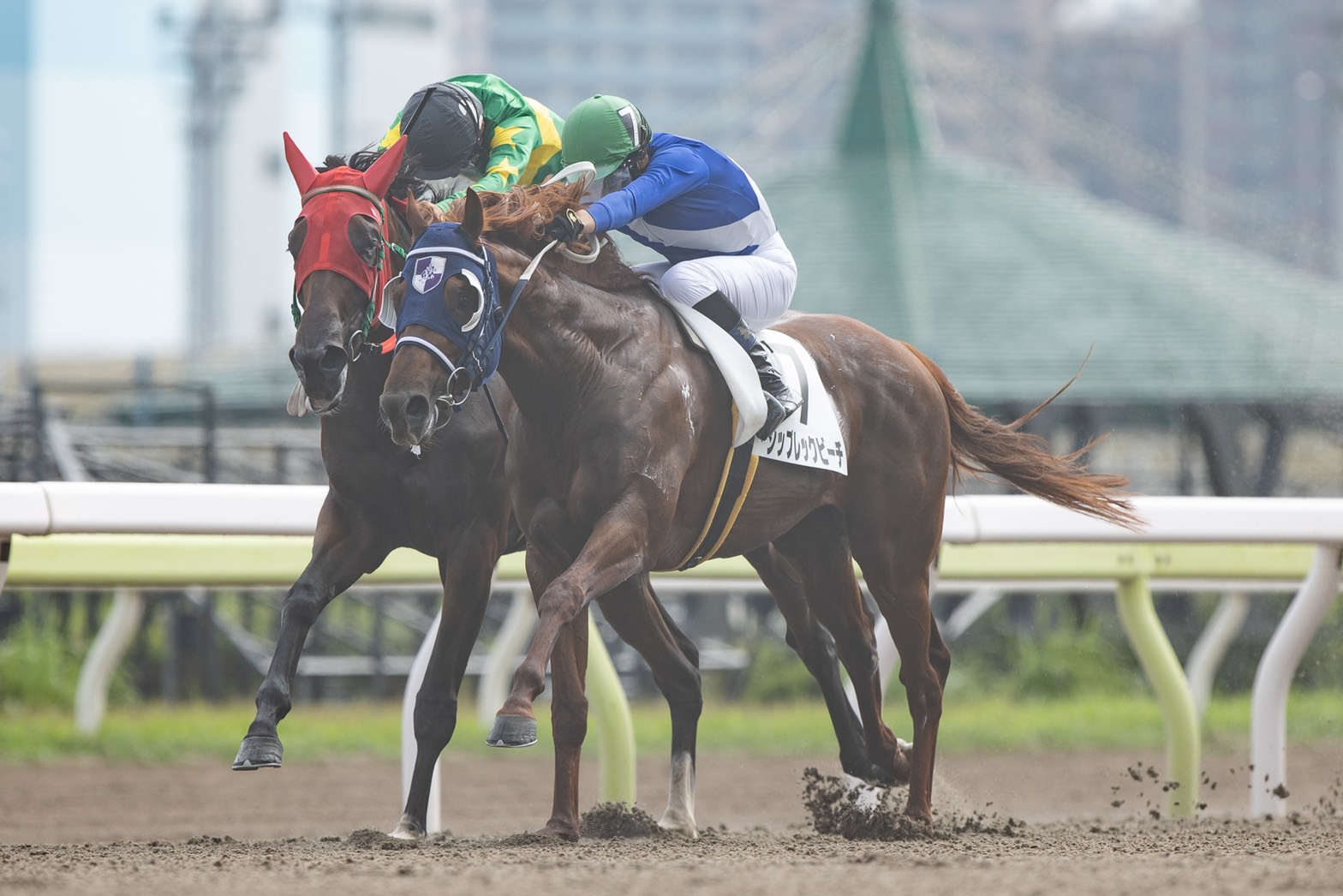 販売育成馬 シップレックビーチ号 優勝 北海道 育成牧場 株式会社エクワインレーシング 公式サイト