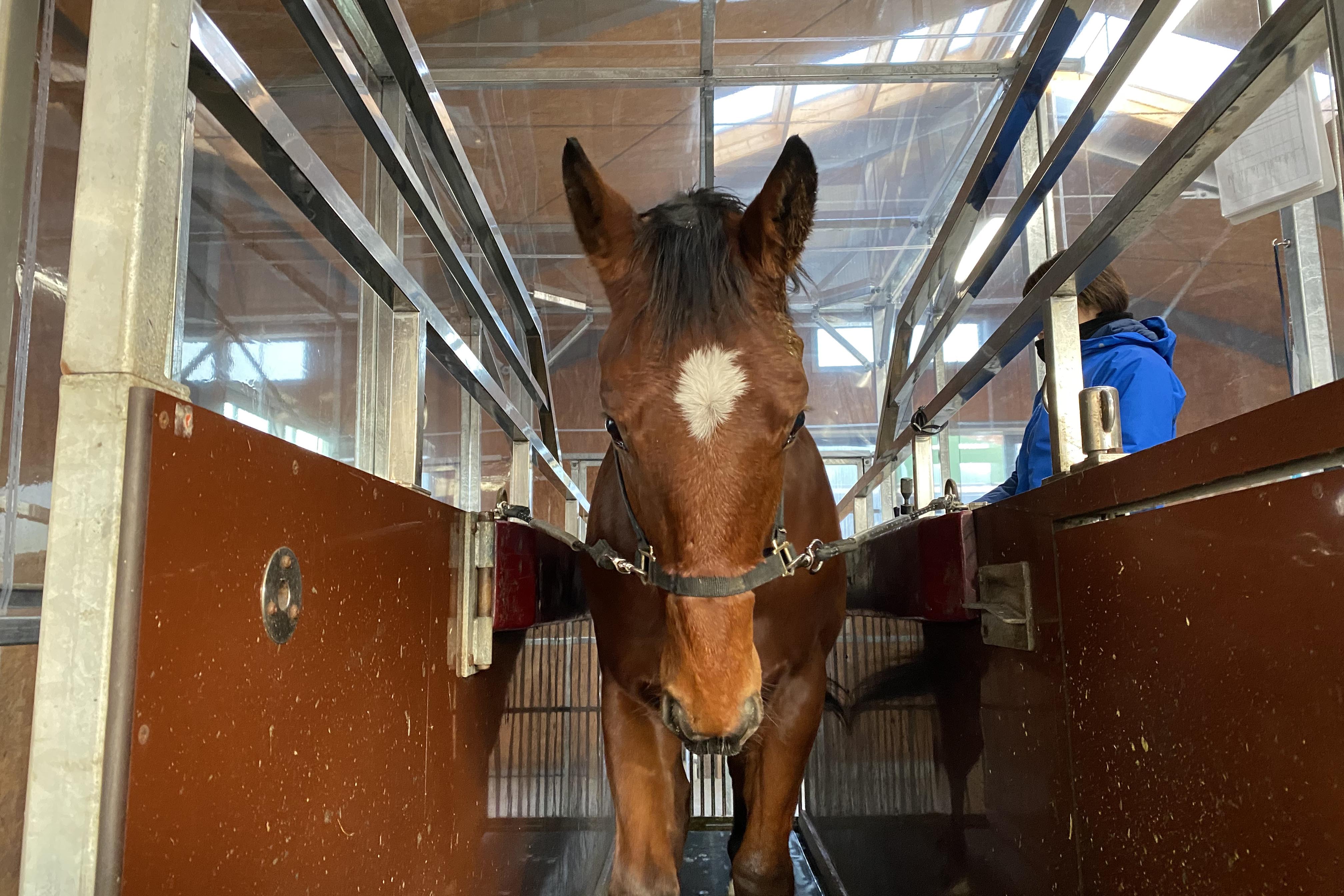 業界初！！競走馬用低酸素トレーニングシステムを導入しました