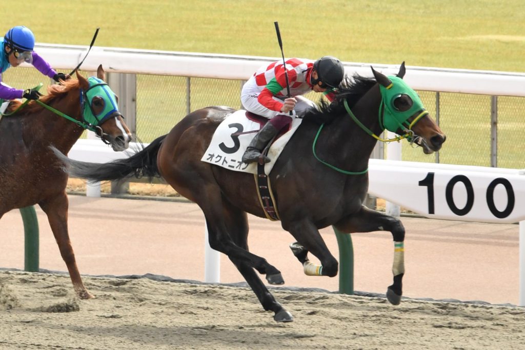 育成馬オクトニオン号 優勝！！ | 北海道 育成牧場 株式会社エクワインレーシング 公式サイト